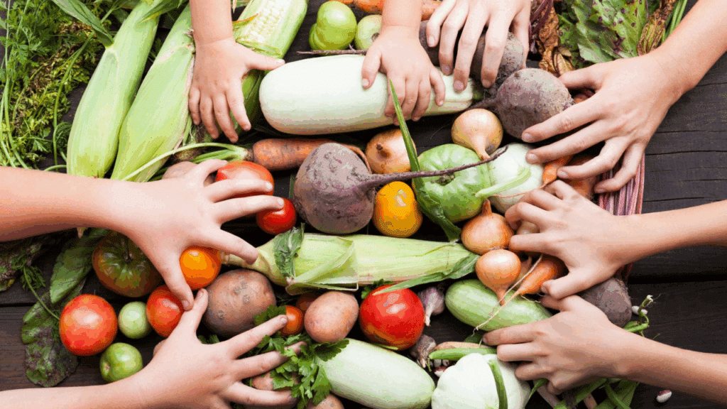 agricultura orgânica imagem representativa.