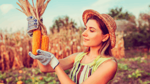 mulher realiza colheita de milho representando o empoderamento feminino na agricultura