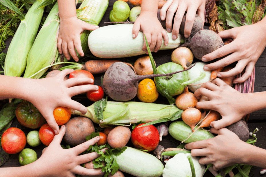 agricultura orgânica imagem representativa.