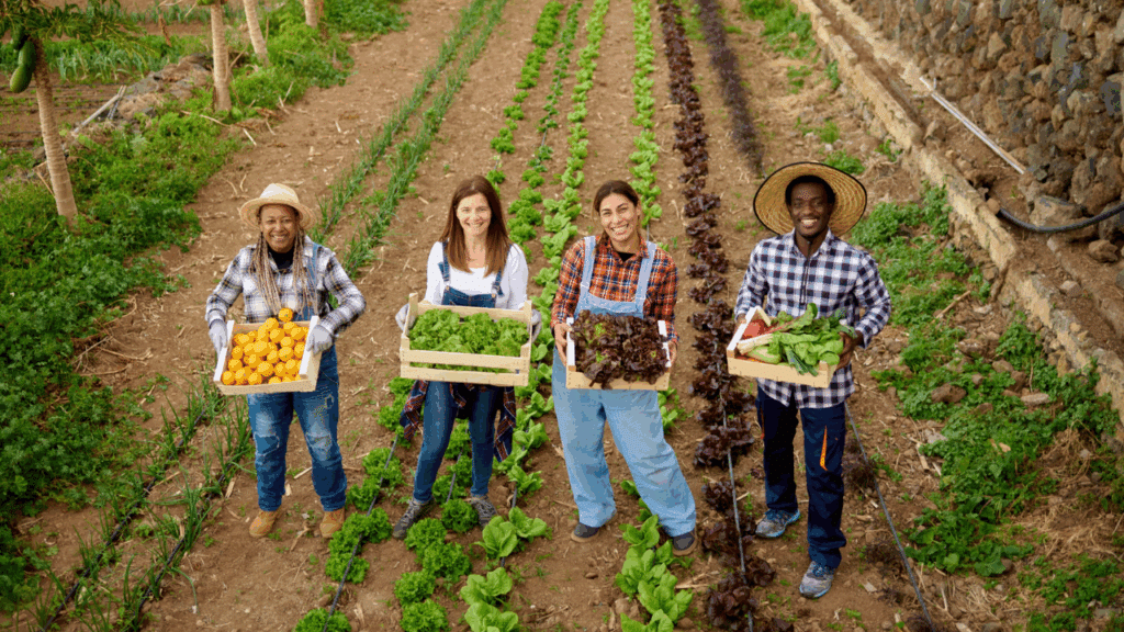 agricultura orgânica final da postagem.