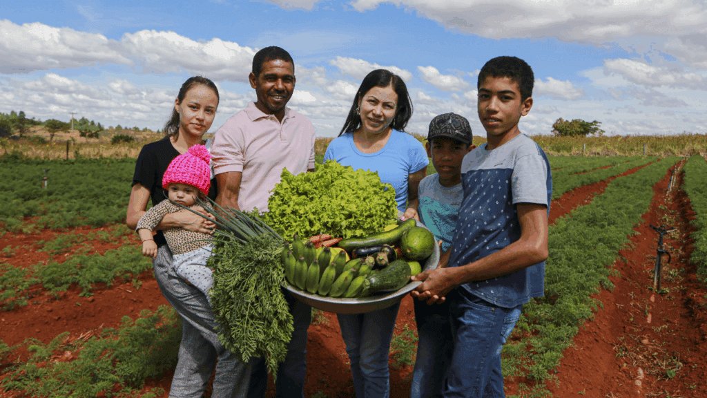 desafios da agricultura familiar em imagem representativa