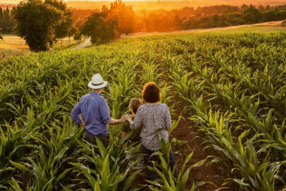 desafios da agricultura familiar imagem