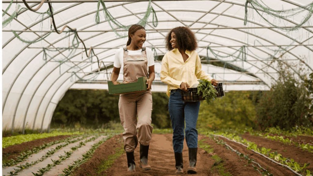 mulheres e os desafios da agricultura familiar