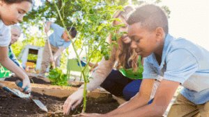 projeto horta escolar sendo aplicado.