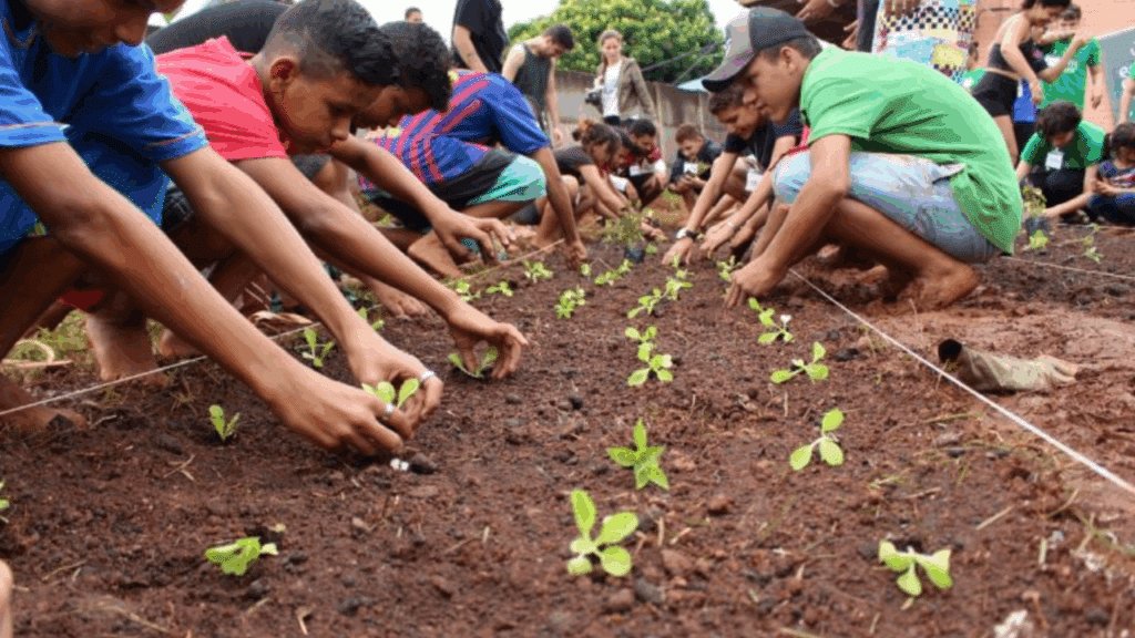 horta escolar em prática em escolas públicas.