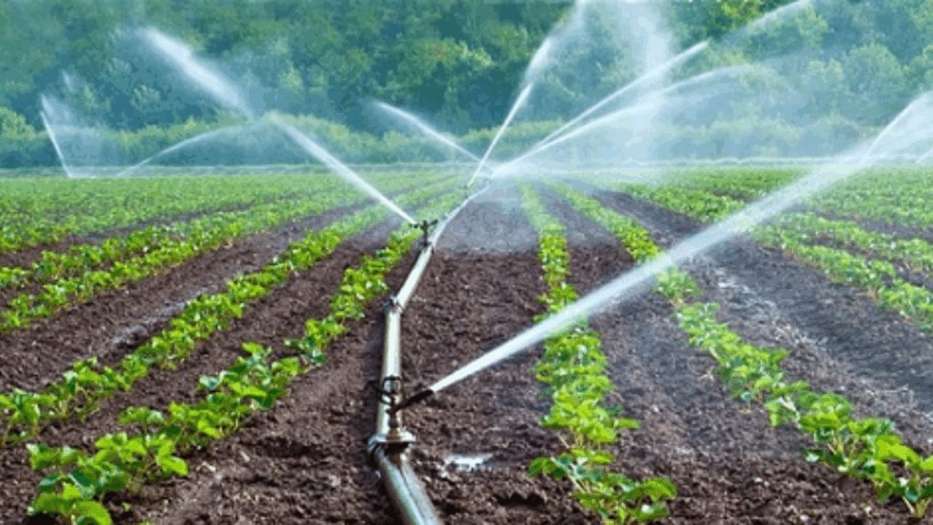 o uso da água na agricultura