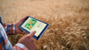 softwares de gestão agrícola