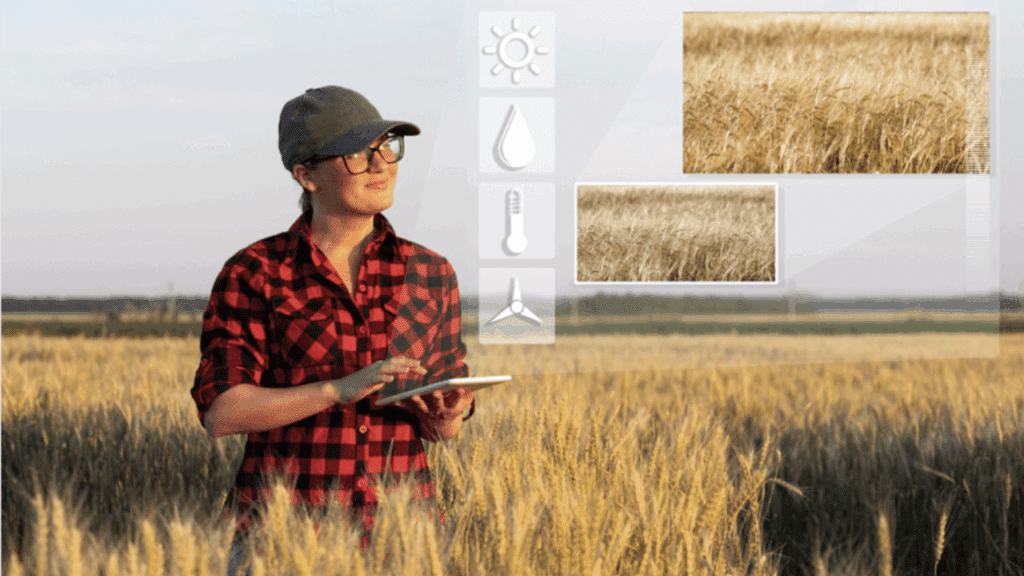 softwares de gestão agrícola exemplificado