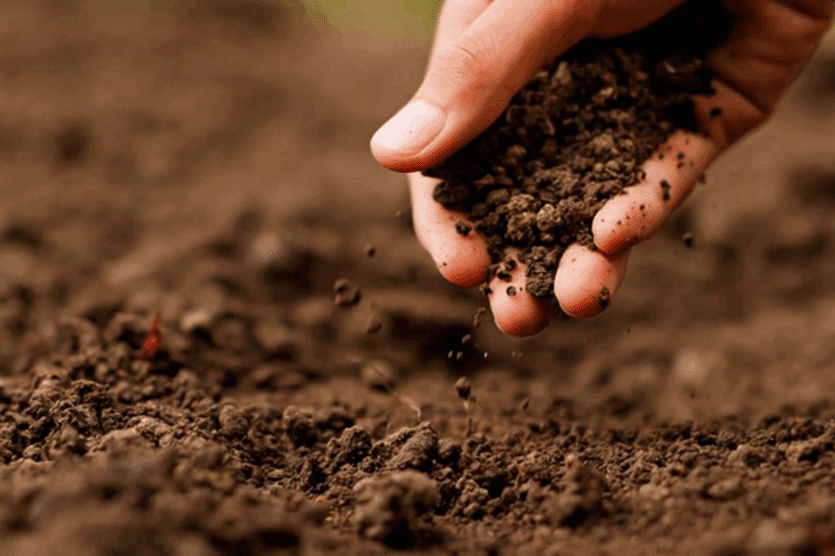 agro solo pode ser definido como o solo preparado para alguma serventia agrícola.