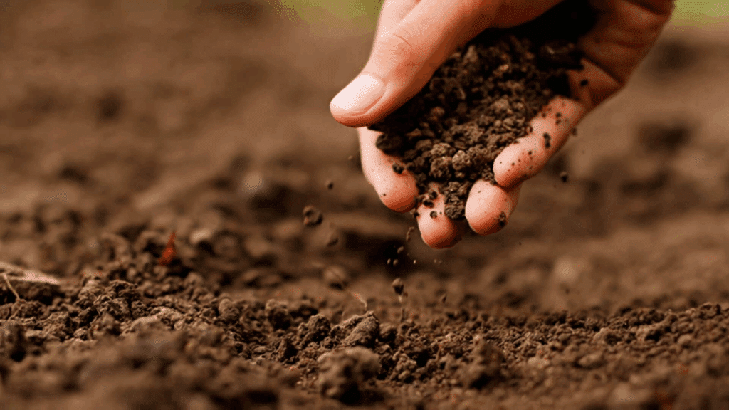agro solo pode ser definido como o solo preparado para alguma serventia agrícola.