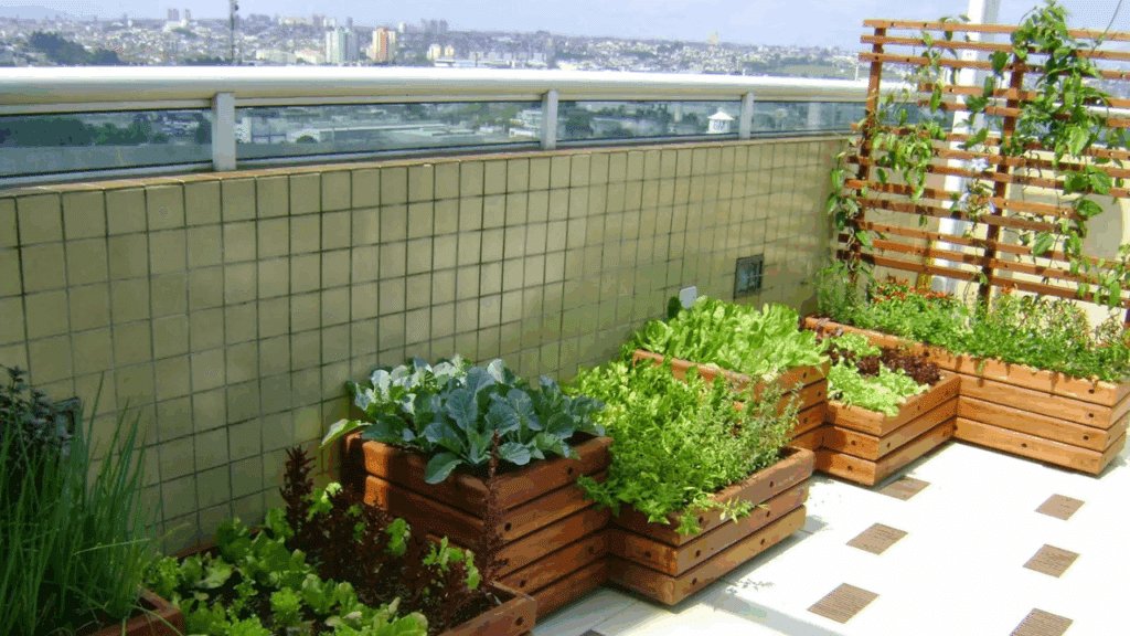 imagem representa como a sua primeira horta pode ser feita em caixas simples no seu apartamento.
